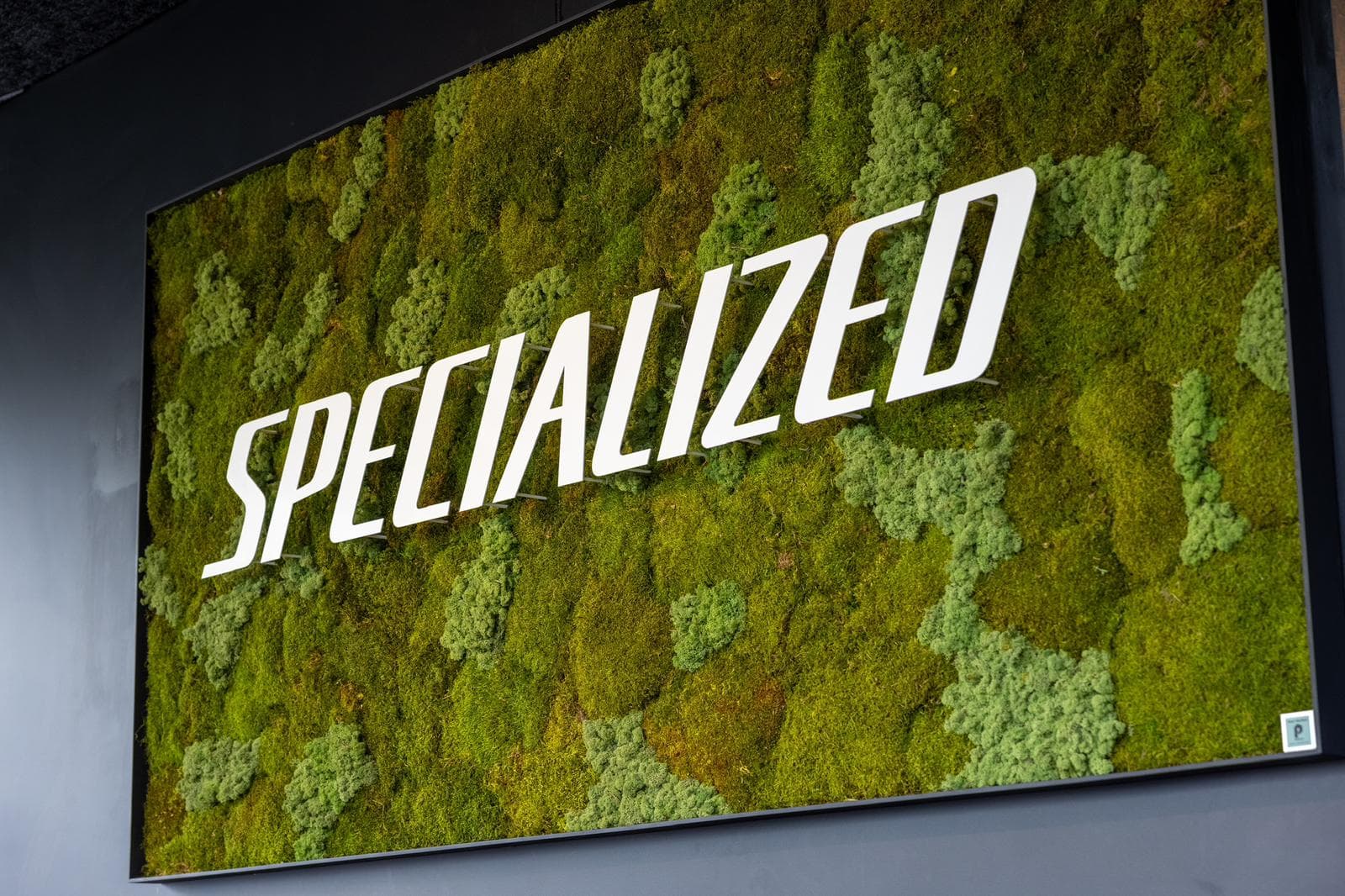 Specialized Fribourg