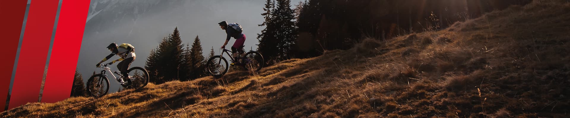 BikeBox AG