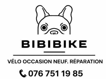 BIBI BIKE logo