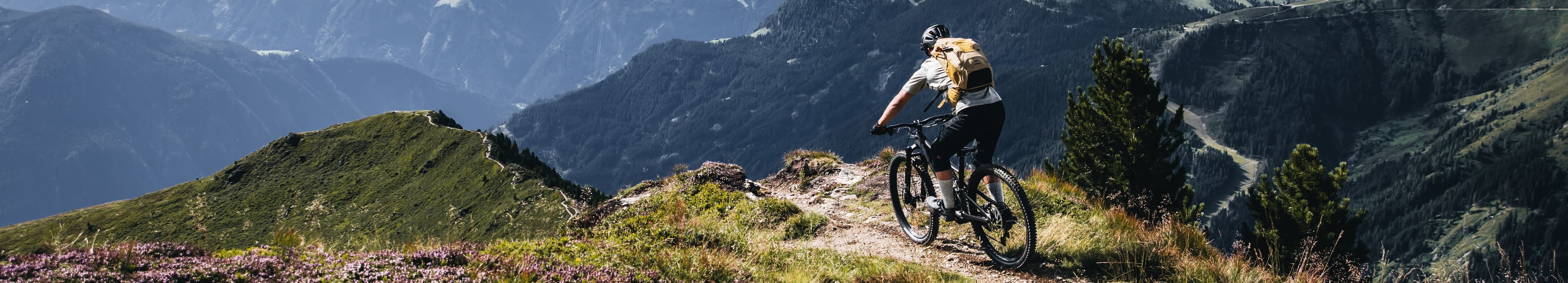 bike store schwyz AG