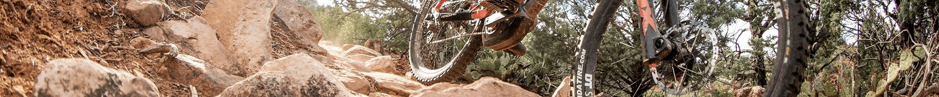 E-Bike-Shop-Belp / Roller-Shop-Belp GmbH