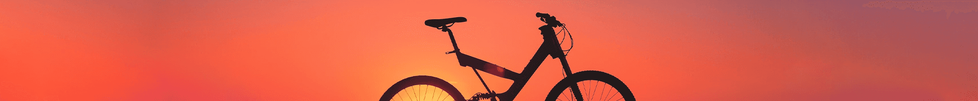 TopBike Lemiszka