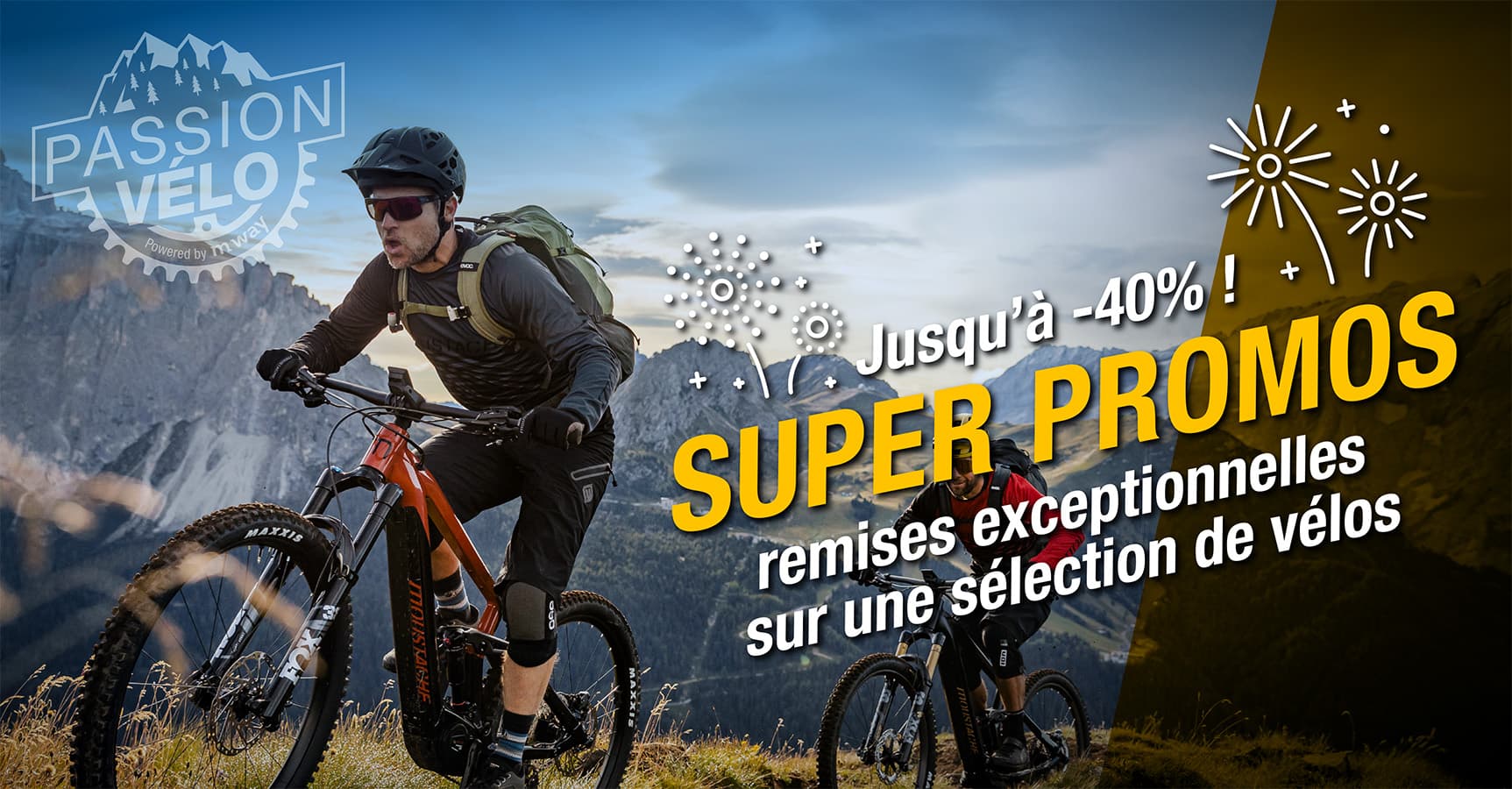 TVS Ebike Company AG