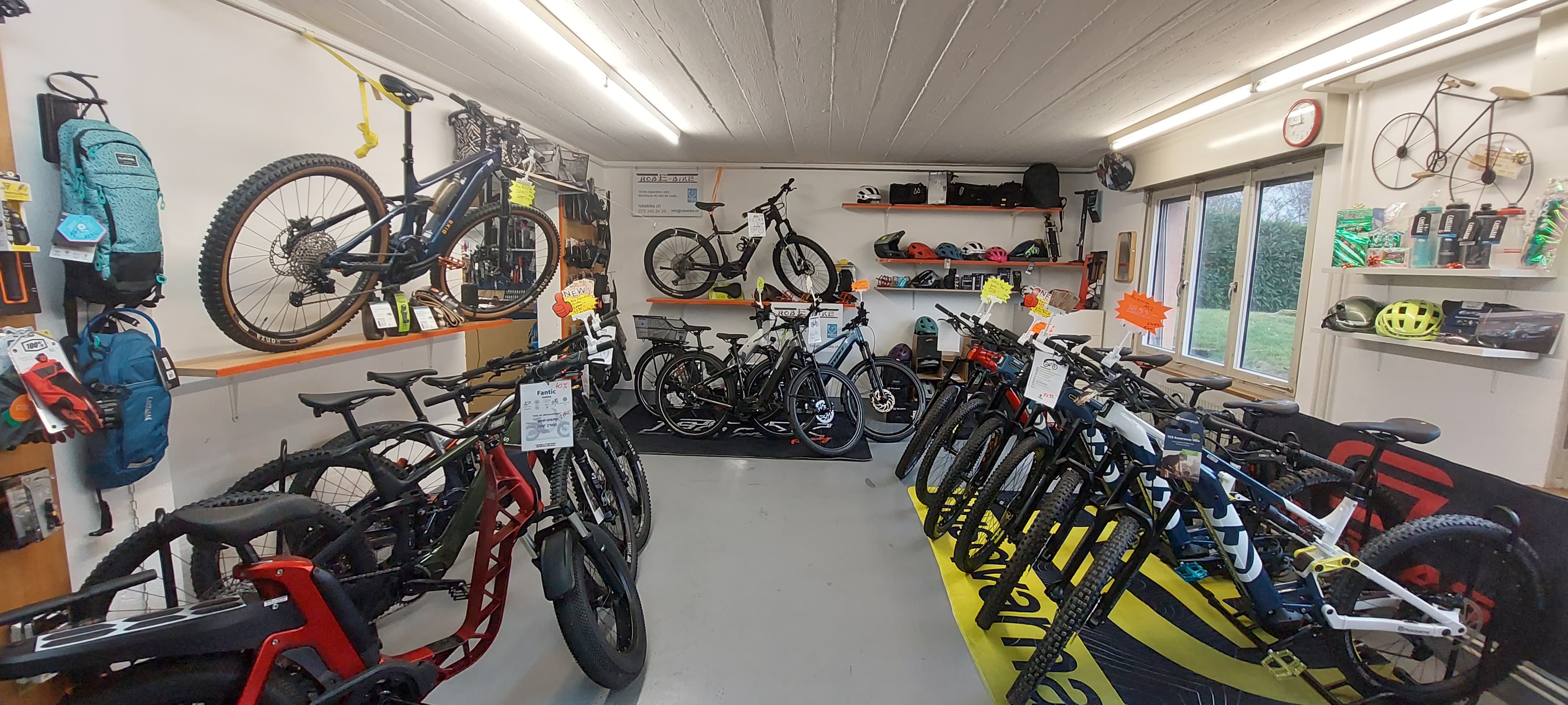 RobEbike